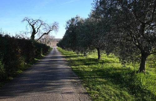 Silos Holiday - Photo 27