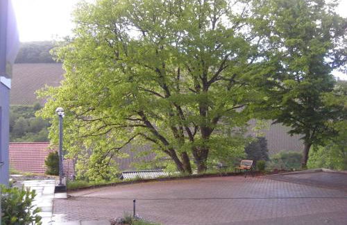 Ferienwohnung Alter Weinberg - Foto 28