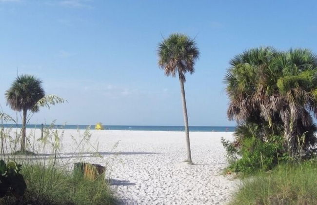 Crescent Street by VTrips - Photo 29