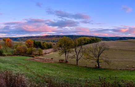 Spectacular Buckleberry View EV Recharge Hot Tub Fireplace Jacuzzi - Foto 1