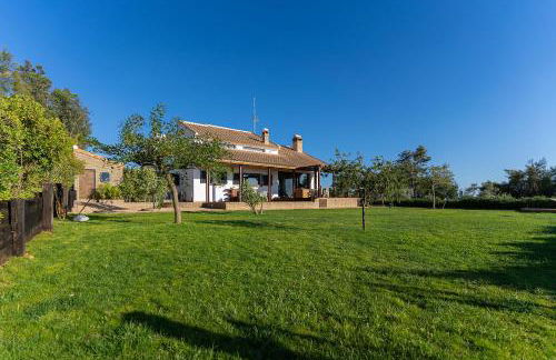 Finca Mis Morenas - Foto 68