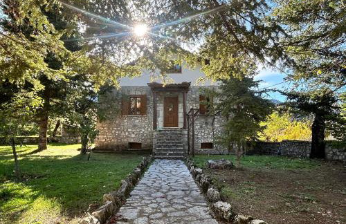 MOUNTAIN NEST - your fairytale escape - Foto 33