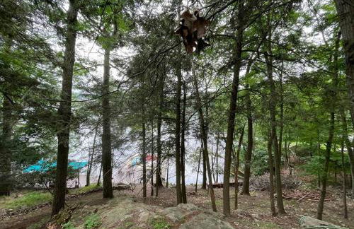 3 Acre Lake Paradise Swimming Pool & Jacuzzi HotTub! - Foto 13