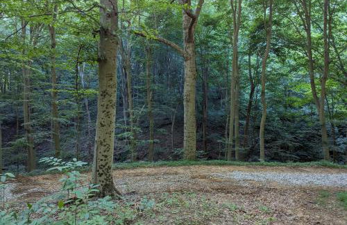 Swaying Pines Cabin w/EV Charger - Foto 32