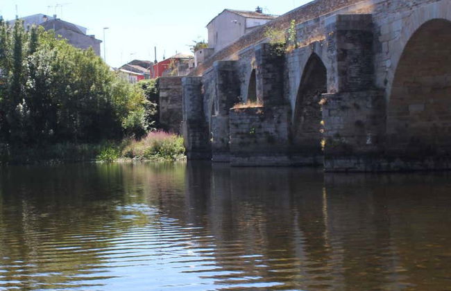 Lugo Guided City Tour - Photo 1