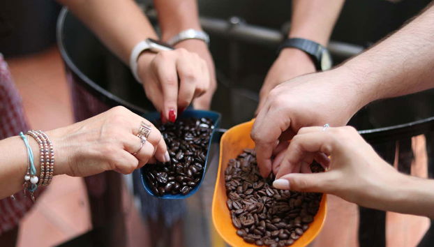 Xalapa, Xico & Coatepec Tour - Foto 4