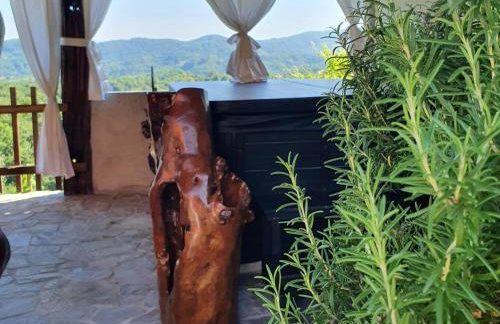 Domus Antiqua - Foto 14