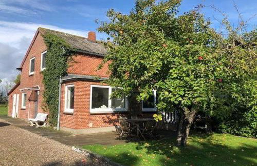 Ferienhaus-Wiesenblick - Foto 2