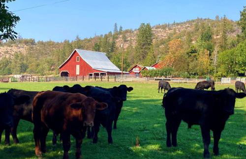 Secluded Farm Stay for a Perfect Oregon Glamping Experience - Foto 28