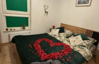 Leśna Przystań Rumia - obok Gdyni i Aquaparku Reda - Foto 4