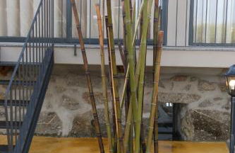 Quinta da Costa - Foto 19