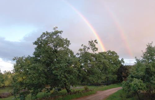 Apartamentos Rurales Ecopangea - Foto 6