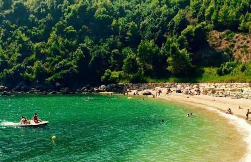 Villa Lidia & Attico degli artisti, free pets , giardino recintato e attrezzato - Foto 24