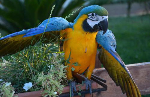 La Piana Dell'erika - Foto 20