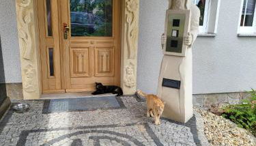 Luxus Ferienwohnung - Foto 3