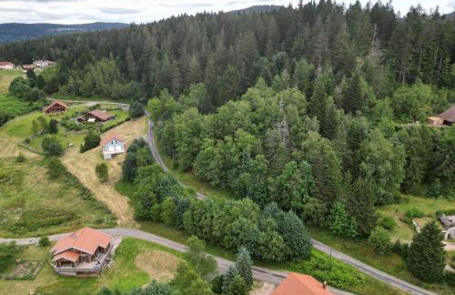 Chalet l'Appel de la Forêt - Foto 72