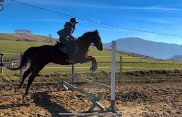 Agro Ranczo - Domek na wynajem - Foto 21