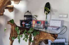 Casa Na Serra - Alagoa Blue - Foto 22