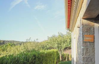 I Love Dão - Casas Da Fraga - Foto 36