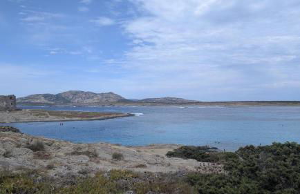 Villa Liliana Your Private Oasis with Pool - Foto 6