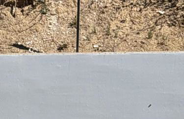 Apartamenty nad morzem Przy Klifie 2 Dębina - Foto 39