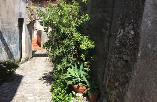 Un Capriccio - Ginepro - Foto 31