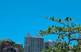 Apartamento Pé na Areia Enseada Guarujá - Foto 41