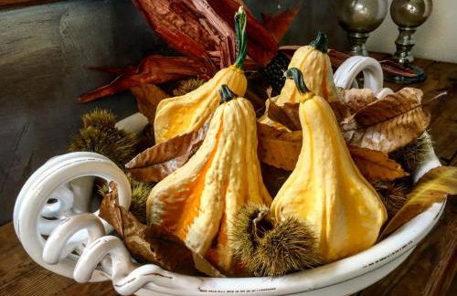 Agriturismo Treterre - Foto 35