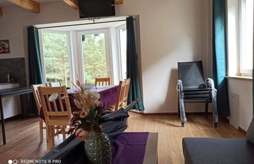 Uroczy domek na Mazurach, Pilec 59 - Foto 2