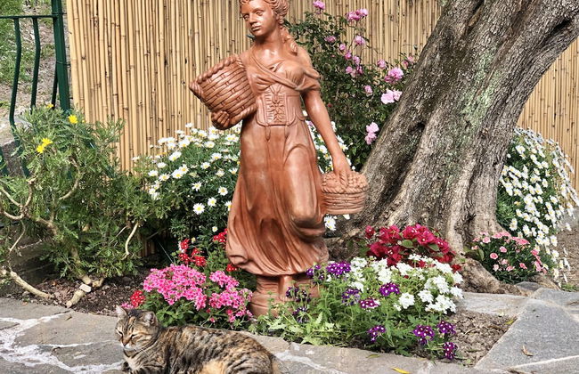 Foglie D'argento - Mediterranean Hideaway - Foto 11