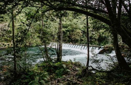 Adiva Praia Miño - Foto 42