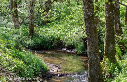 Design Ferienwohnung mit Bauerngarten - Foto 28