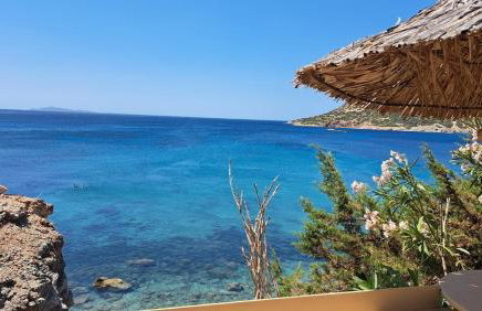 Anemelia & Helios Studio - Foto 50