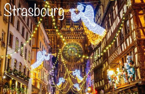 Sollaris Appartement 1ère étage à 11km de Europa-Park - Photo 15