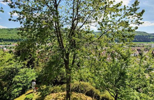 Studiowohnung SchwabenALB mit Panoramablick - Foto 31