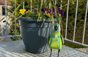 The Dairy Flat - Foto 32