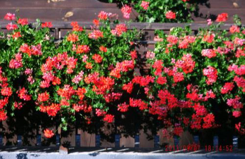 Apartment Perić - Foto 31