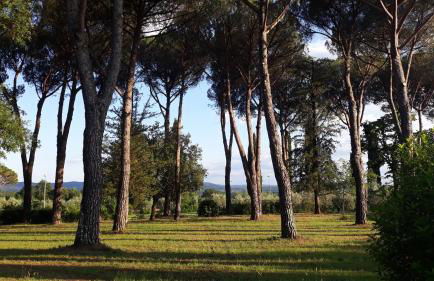 Villa Tommasini La torre - Foto 44