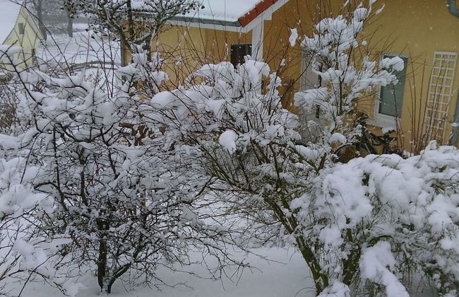 Land Fleesensee - Foto 18