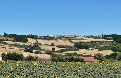 Casale in collina vista Assisi,Brufa di Torgiano - Foto 42