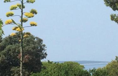 APARTMENT ŽUŽI Otok Silba Hrvatska - Foto 25