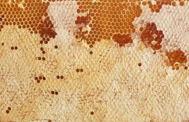 Holiday home Verin - Foto 48