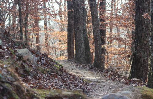 4 BR Mountain Cabin with Hot Tub & Fire Pit in GA - Foto 30