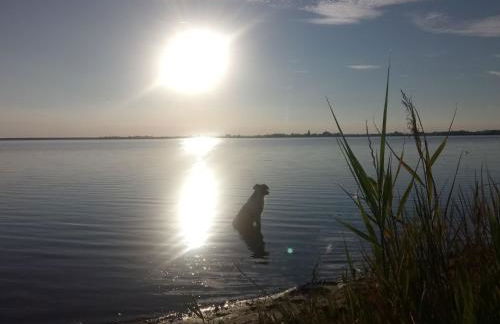 Bungalow in Klein Strtsmkendorf - Foto 70