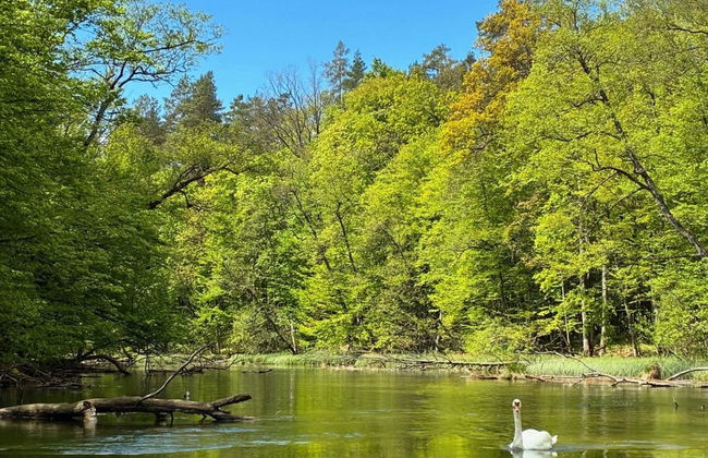 Zagroda nad Krutynią - Foto 5