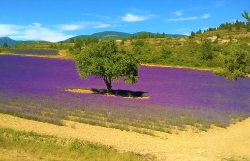 Stunning Home In Mazan - Foto 7