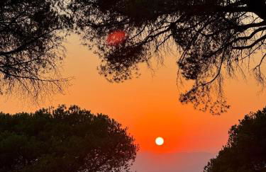 INSPIRA MAISON Montaña y Mar - Foto 25