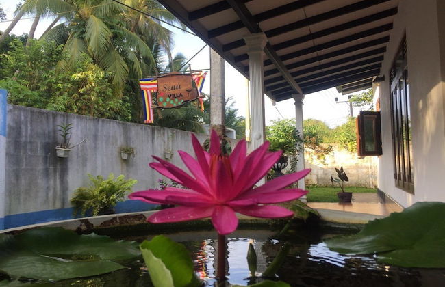 senu villa - Photo 1