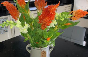 Spacious Family Home Minutes from the Beach - Foto 24