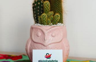 Giù in Calabria B&B - Terrazze Italiane Catanzaro Lido - Foto 15